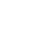 Professional Reports